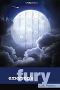 Emerson's Fury : L.B. Pavlov (The Hollingsworth Series #3) by L.B. Pavlov