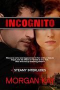 Incognito: Dating the Enemy (Steamy Interludes #6) by Morgan Kay