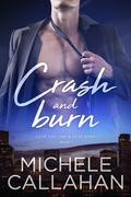 Crash and Burn (Love You Like a Love Song #1) by Michele Callahan