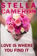 Love Is Where You Find It by Stella Cameron