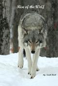 Rise of the Wolf (Wolf #3) by Sarah Brock