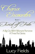 Chance Encounter A Big City BBW Billionaire Romance  (Book 1 Twist of Fate) by Lucy Fields