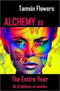 Alchemy xii - The Entire Year: All 13 Alchemy xii novellas (Alchemy xii) by Tamsin Flowers