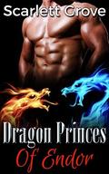 Dragon Princes Of Endor: Complete Collection (Dragon Princes Of Endor) by Scarlett Grove