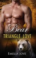 Bear Triangle Love by Emelia Joye