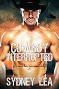 Cowboy Interrupted (Silver Stone Ranch #1) by Sydney Lea