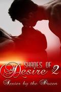 Shades Of Desire 2  (Sexier By The Dozen) by Chanta Rand