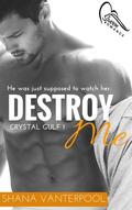 Destroy Me by Shana Vanterpool