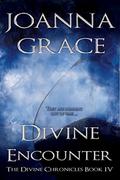 Divine Encounter (The Divine Chronicles #3) by JoAnna Grace