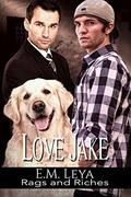 Love Jake (Rags and Riches #2) by Karissa Ariel