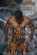 Under the Veil: A Boxed Set of Magical and Paranormal Romance Short Story Teasers by April A. Luna
