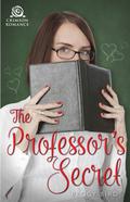 The Professor's Secret by Peggy Bird