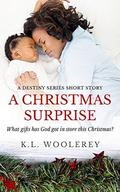 A Christmas Surpirse: A Destiny Series Short Story (Destiny) by K.L. Woolerey