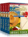 Lancaster Love Letters Volume 2: Troyer Family by Faith King