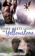 Dark Meets Light in Yellowstone (Yellowstone Mates #4) by Christy Rivers