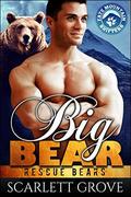 Big Bear by Scarlett Grove