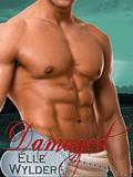 Damaged by Elle Wylder