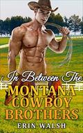 In Between The Montana Cowboy Brothers by Erin Walsh