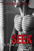 SEEK: Part Two. A Romantic Suspense Series: The Black Letters series by Designs by Dana