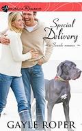 Special Delivery: inspirational romance (Seaside romance #1) by Gayle Roper