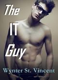The IT Guy by Wynter St. Vincent