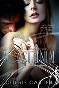 Accidental Salvation by Colbie Carter