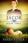 Jacob 3 (The Summerspring Amish Series #3) by Fanny Fisher
