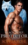 Black Wolf Protector: Broken Shifters Book 2 by Amber Wood