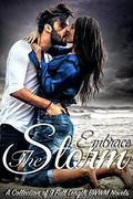 Embrace The Storm: A Collection of 9 Full Length BWWM Romance Novels by K.T. Washington