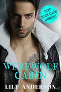 Werewolf Cabin (The Dragon shifter #2) by Lily Anderson