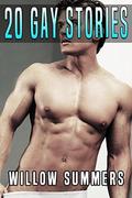GAY: 20 Stories Man on Man First Time Bundle Box Set by Willow Summers