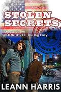 Stolen Secrets by Leann Harris