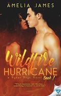 Wildfire Hurricane (Ryder Boys #1) by Amelia James
