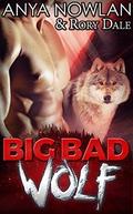 Big Bad Wolf (Sweetwater Brides #4) by Rory Dale
