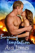 Burning Temptation (Scarlett Mountain Shifters #3) by Ava James