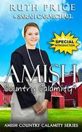 An Amish Country Calamity 4 by Ruth Price
