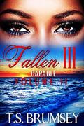 Fallen III  (Capable Volume II) by T.S. Brumsey