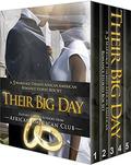 Their Big Day: 5 Marriage Themed African American Romance Stories Box Set (Afro Bundles #2) by Faith Clarke