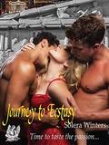 Journey to Ecstasy (Olympian Seductions #2) by Solera Winters
