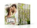 Spring for Love (Seasons of Love #3) by Laura J Marshall