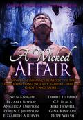 A Wicked Affair: A Paranormal Romance Boxed Set of Short Stories Featuring Witches, Vampires, Shifters, Ghosts, and More... (A Wicked Halloween, #1) by Hope Welsh