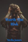Worth the Risk (Blue Falls #2) by Stella James