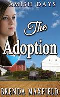The Adoption (Faith's Story #1) by Brenda Maxfield