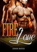Fire of Love: M/M Mpreg Alpha Male Romance by Aiden Bates