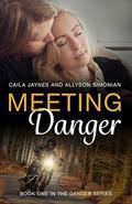 Meeting Danger (The Danger #1) by Allyson Simonian