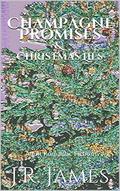 Champagne Promises & Christmas Lies: An Adult Christmas Romance by J.R. James