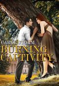 Burning Captivity (The Charity Chronicles #2) by Carol Storm