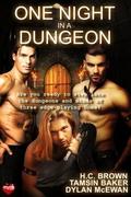 One Night In A Dungeon by Dylan McEwan