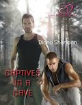Captives in a Cave by Diana Sheridan