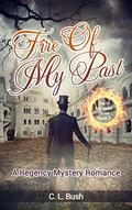 Fire Of My Past (Fire in My Heart Series #2) by C.L. Bush